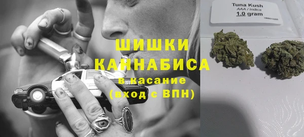 ПСИЛОЦИБИНОВЫЕ ГРИБЫ Наволоки