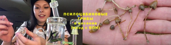 соль курить ск Нея