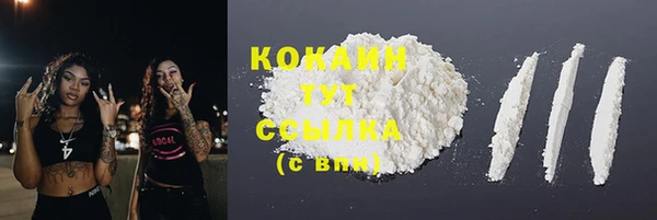 молекула духа Мегион