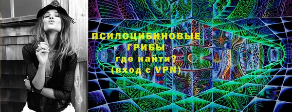 ALPHA-PVP Надым